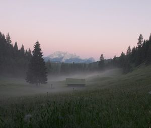 Preview wallpaper glade, forest, trees, house, fog, nature