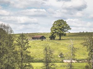 Preview wallpaper glade, house, grass, trees, clouds, summer