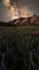 Preview wallpaper glade, mountain, starry sky, grass, flowers, night