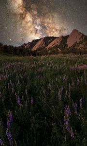 Preview wallpaper glade, mountain, starry sky, grass, flowers, night