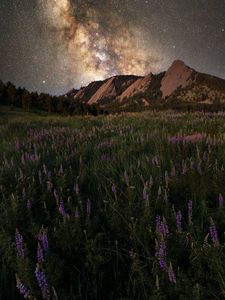 Preview wallpaper glade, mountain, starry sky, grass, flowers, night