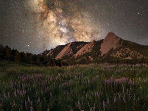 Preview wallpaper glade, mountain, starry sky, grass, flowers, night