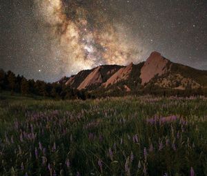 Preview wallpaper glade, mountain, starry sky, grass, flowers, night