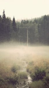 Preview wallpaper glade, wood, wires, fog, column