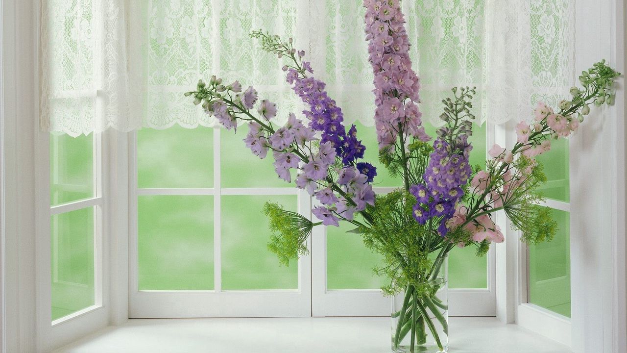 Wallpaper gladioli, flowers, window, flower, vase