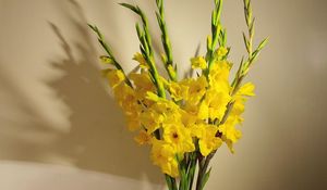 Preview wallpaper gladioli, yellow, bouquet, vase, wall