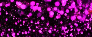 Preview wallpaper glare, bokeh, purple, lilac, circles