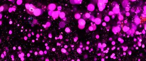 Preview wallpaper glare, bokeh, purple, lilac, circles