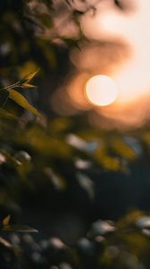 Preview wallpaper glare, bokeh, sunset, blur, light