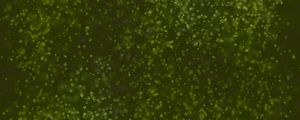 Preview wallpaper glare, dots, bokeh, cloud, green