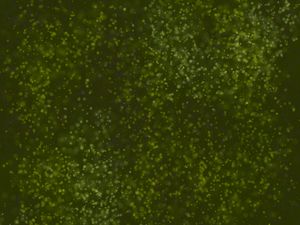 Preview wallpaper glare, dots, bokeh, cloud, green