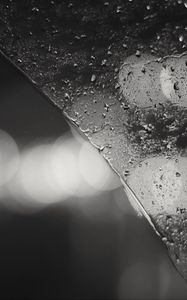 Preview wallpaper glass, broken, drops, bokeh, blur, black and white