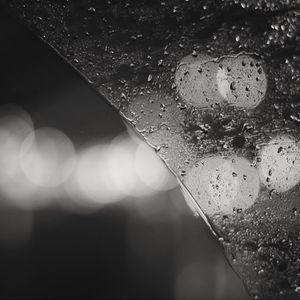 Preview wallpaper glass, broken, drops, bokeh, blur, black and white