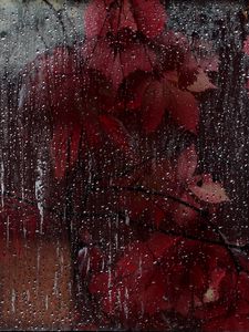 Preview wallpaper glass, drops, leaves, wet, red