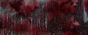 Preview wallpaper glass, drops, leaves, wet, red