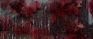 Preview wallpaper glass, drops, leaves, wet, red