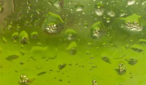 Preview wallpaper glass, drops, liquid, macro, green