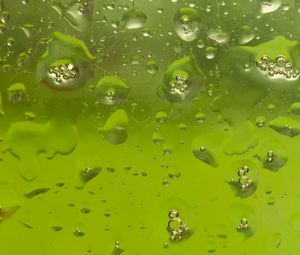 Preview wallpaper glass, drops, liquid, macro, green