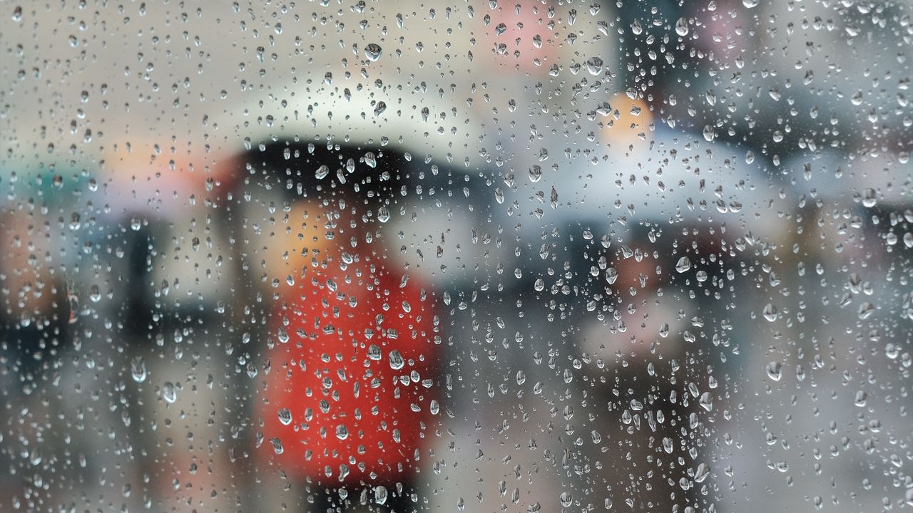 Wallpaper glass, drops, moisture, surface, rain