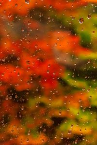Preview wallpaper glass, drops, rain, water, autumn, blur, macro