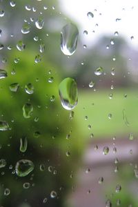 Preview wallpaper glass, drops, rain, macro, transparent