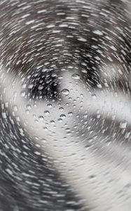 Preview wallpaper glass, drops, rain, rotation, macro