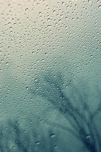 Preview wallpaper glass, drops, water, tree, silhouette