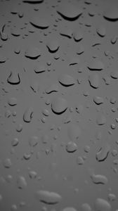 Preview wallpaper glass, drops, wet, macro, black and white