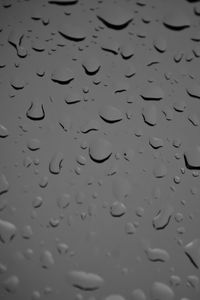 Preview wallpaper glass, drops, wet, macro, black and white