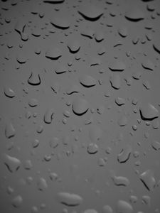 Preview wallpaper glass, drops, wet, macro, black and white