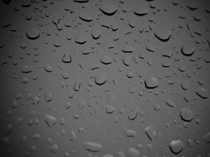 Preview wallpaper glass, drops, wet, macro, black and white