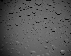 Preview wallpaper glass, drops, wet, macro, black and white