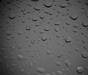 Preview wallpaper glass, drops, wet, macro, black and white