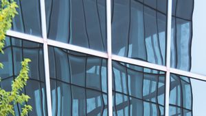 Preview wallpaper glass, reflection, distortion, branches