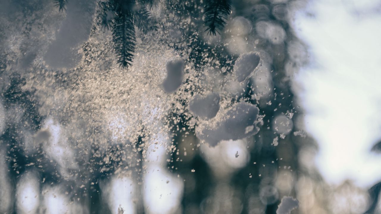 Wallpaper glass, snow, pine needles, winter, blur