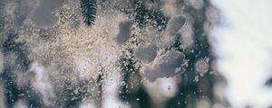 Preview wallpaper glass, snow, pine needles, winter, blur