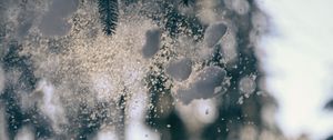 Preview wallpaper glass, snow, pine needles, winter, blur