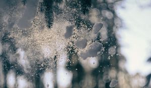 Preview wallpaper glass, snow, pine needles, winter, blur