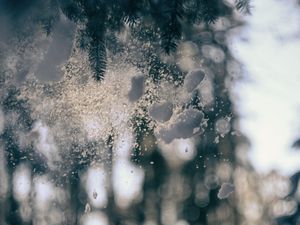 Preview wallpaper glass, snow, pine needles, winter, blur