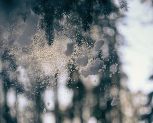 Preview wallpaper glass, snow, pine needles, winter, blur