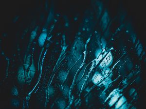 Preview wallpaper glass, water, drips, macro