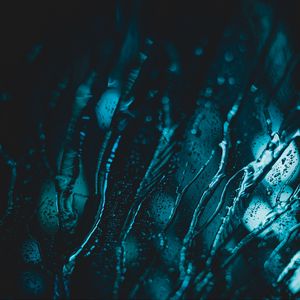 Preview wallpaper glass, wet, macro, drops, drips