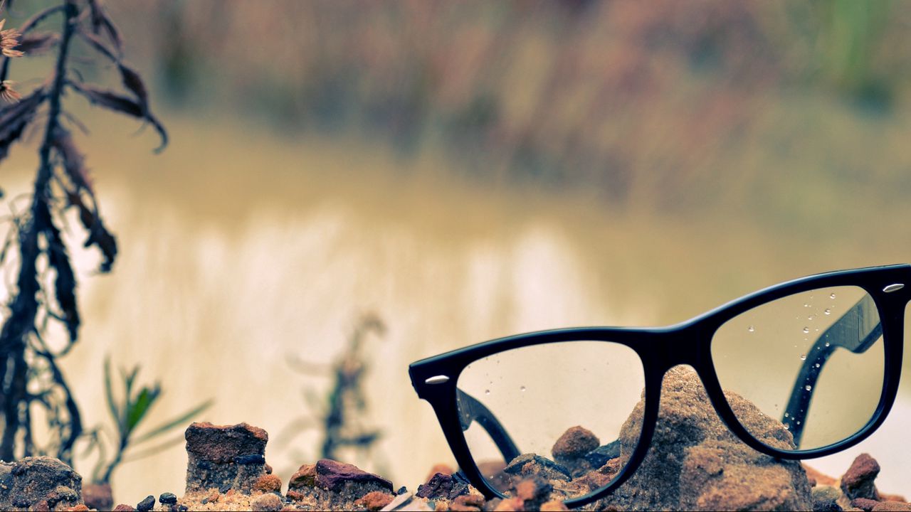 Wallpaper glasses, lenses, rocks, grass, rose