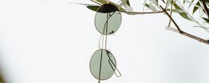 Preview wallpaper glasses, minimalism, branch, plant