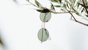 Preview wallpaper glasses, minimalism, branch, plant