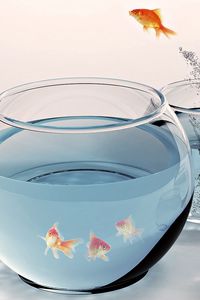 Preview wallpaper goldfish, aquarium, water, jump