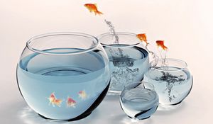 Preview wallpaper goldfish, aquarium, water, jump