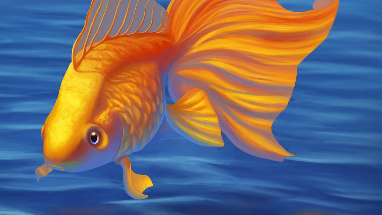 Wallpaper goldfish, fish, art, water