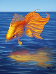 golden fishes wallpaper for desktop