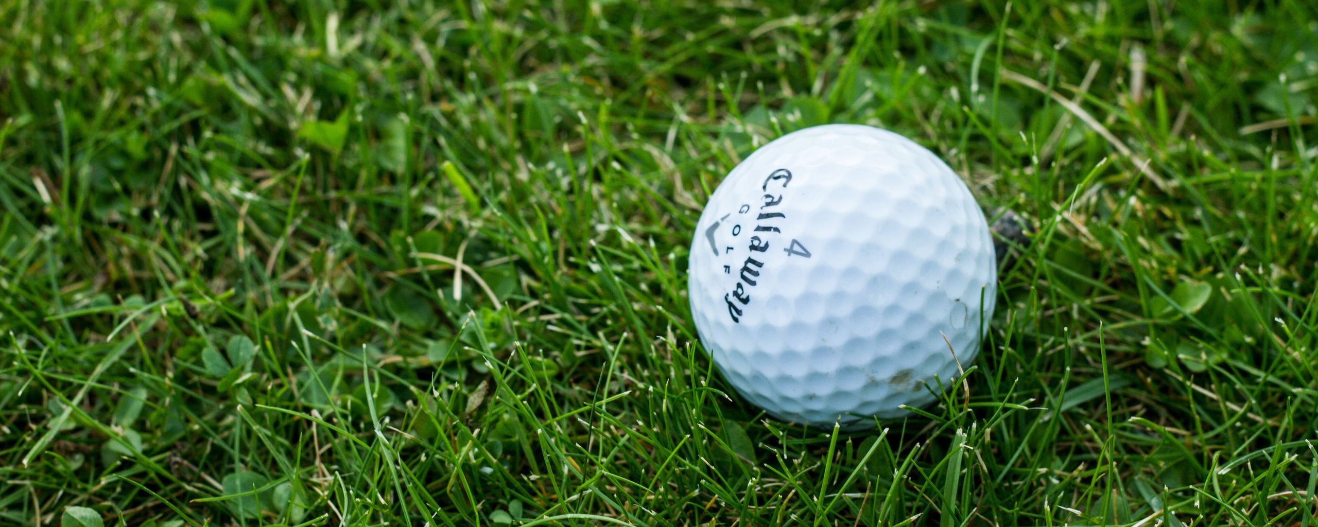 2560x1024 Wallpaper golf, ball, grass
